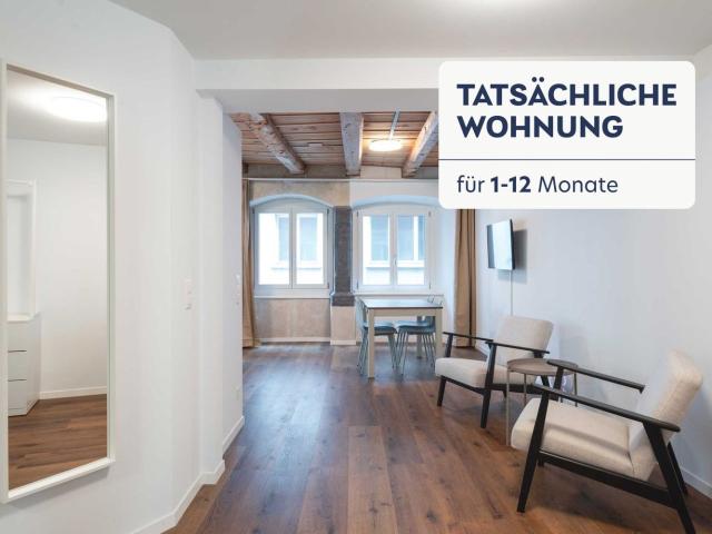 Rent a 2 rooms furnished flat in Luzern Flatfox