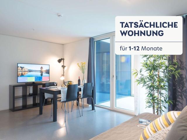 Rent a 2 rooms furnished flat in Luzern Flatfox