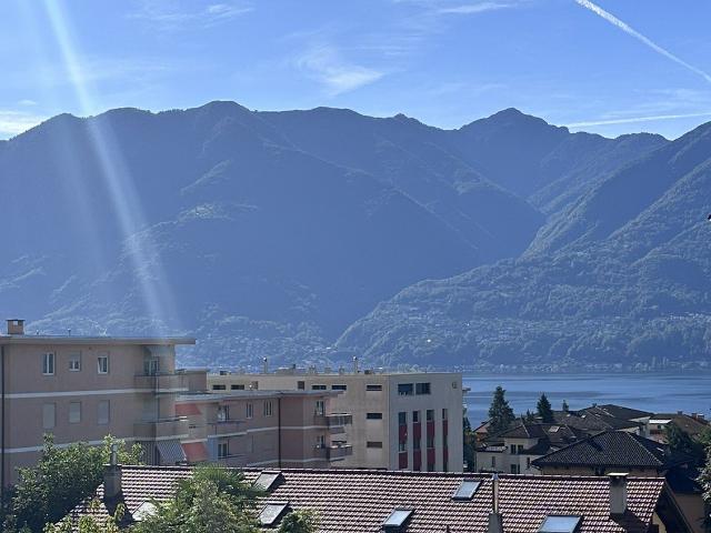 Rent a 2 ½ rooms furnished flat in Muralto Flatfox