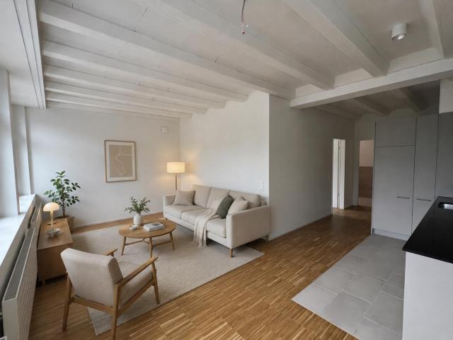 Rent a 2 ½ rooms loft in Alt St. Johann Flatfox