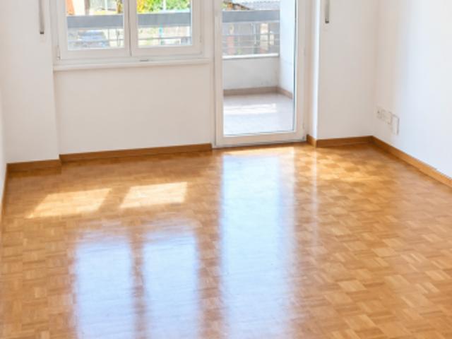 Rent a 2 ½ rooms multi family house in Lugano Flatfox