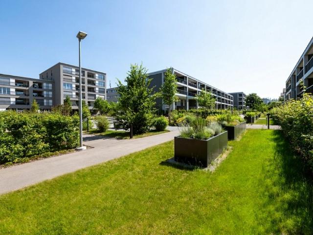 Rent a 2 ½ rooms roof flat in Aadorf Flatfox