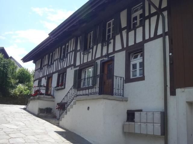 Rent a 2 ½ rooms roof flat in Aesch Flatfox