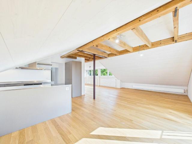 Rent a 2 ½ rooms roof flat in Rodersdorf Flatfox