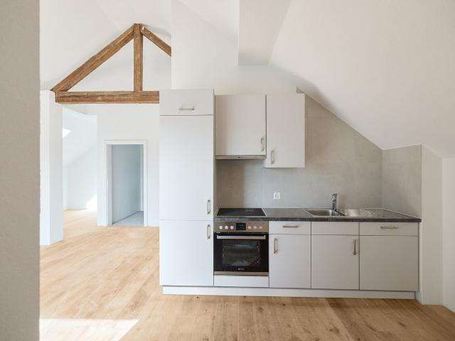 Rent a 2 ½ rooms roof flat in Wolfwil Flatfox