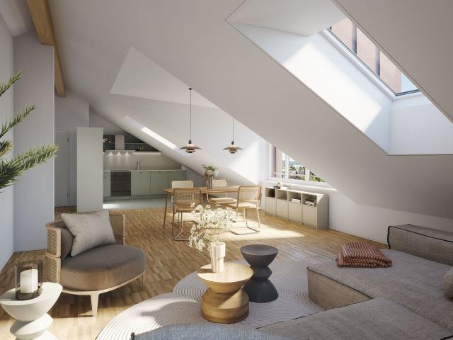 Rent a 2 ½ rooms roof flat in Winterthur Flatfox