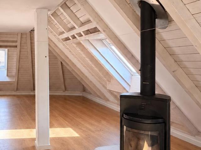 Rent a 2 ½ rooms roof flat in Zürich Flatfox
