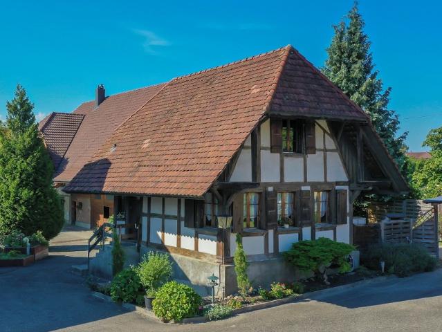 Rent a 2 ½ rooms single house in Kallnach Flatfox