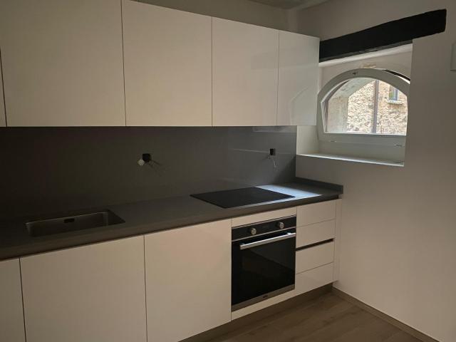 Rent a 2 ½ rooms single house in Lugano Flatfox