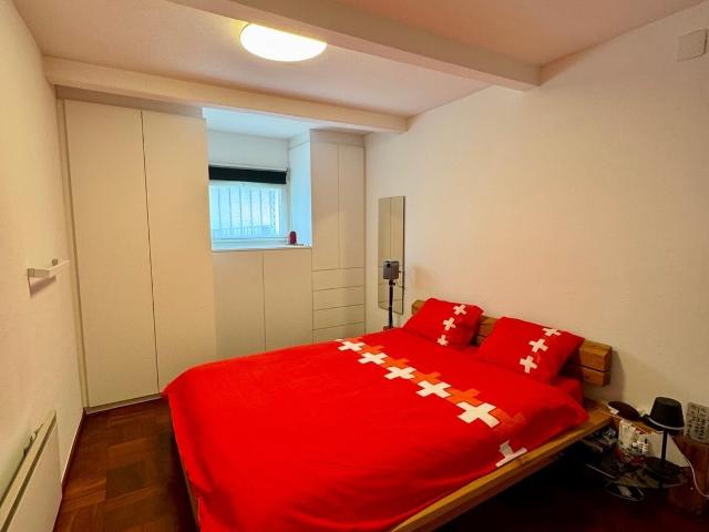 Rent a 2 rooms single house in Lugano Flatfox