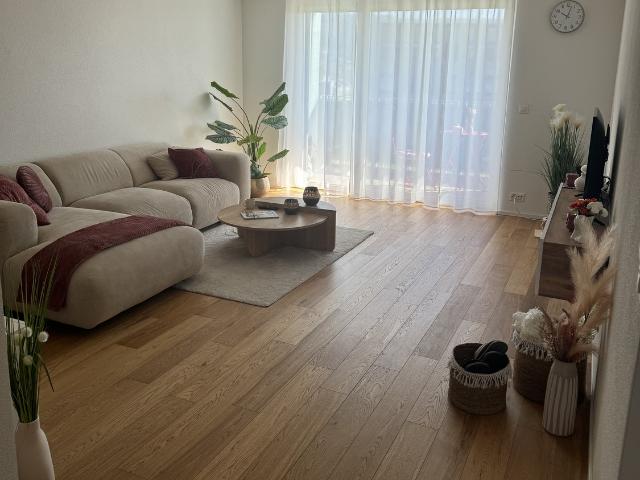 Rent a 2 ½ rooms single house in Spreitenbach Flatfox