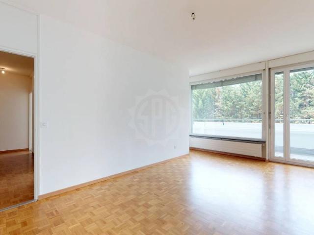 Rent a 7 rooms apartment in Genève Flatfox