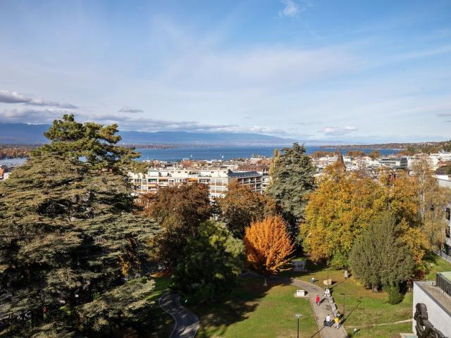 Rent a 7 rooms apartment in Genève Flatfox