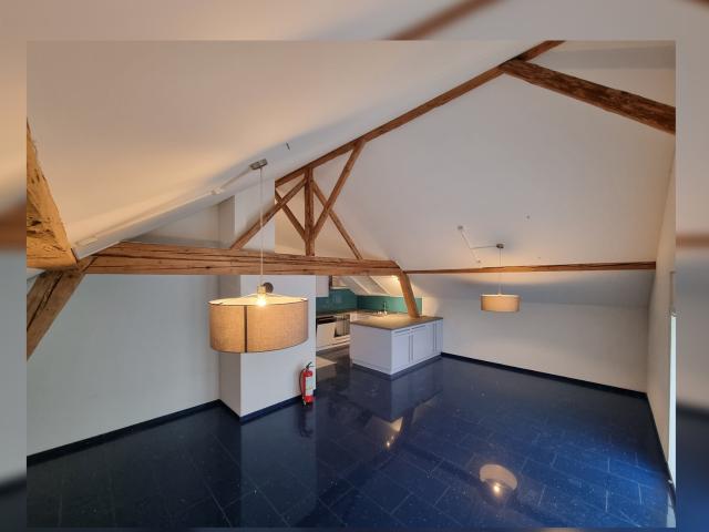 Rent a 7 ½ rooms duplex in Lyss Flatfox