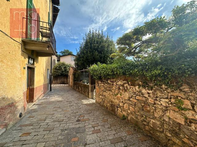 Rent a 7 ½ rooms single house in Carona Flatfox