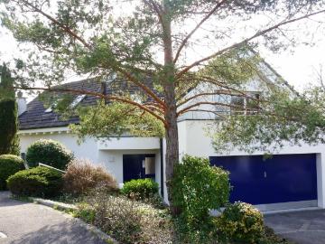 Rent a 7 rooms single house in Riehen Flatfox