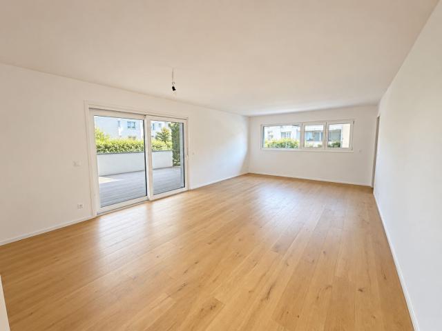 Rent a 4 ½ rooms terrace flat in Mendrisio Flatfox