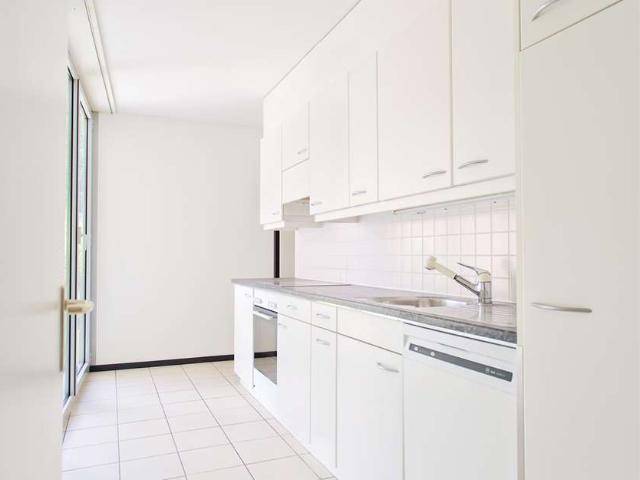 Rent a 4 ½ rooms apartment in Camorino Flatfox