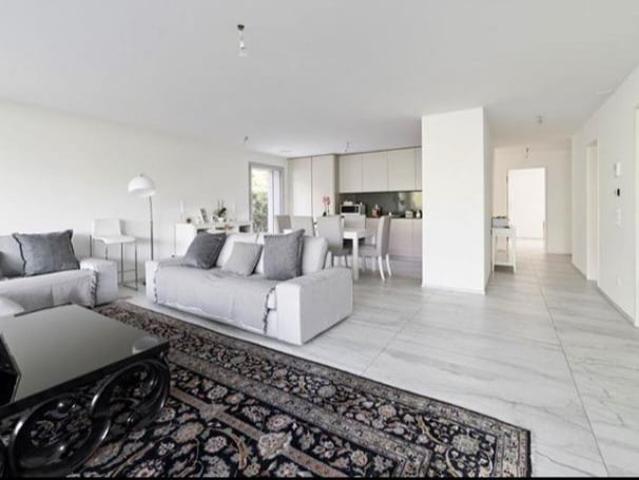 Rent a 4 ½ rooms apartment in Canobbio Flatfox