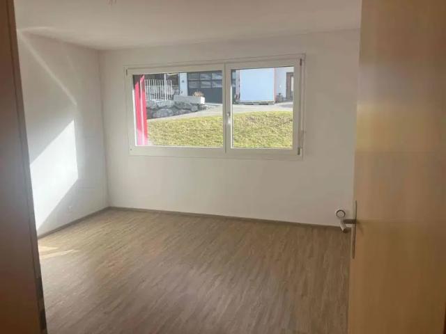 Rent a 4 ½ rooms apartment in Amden Flatfox