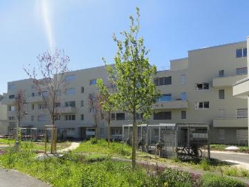 Rent a 4 ½ rooms apartment in Aarburg Flatfox