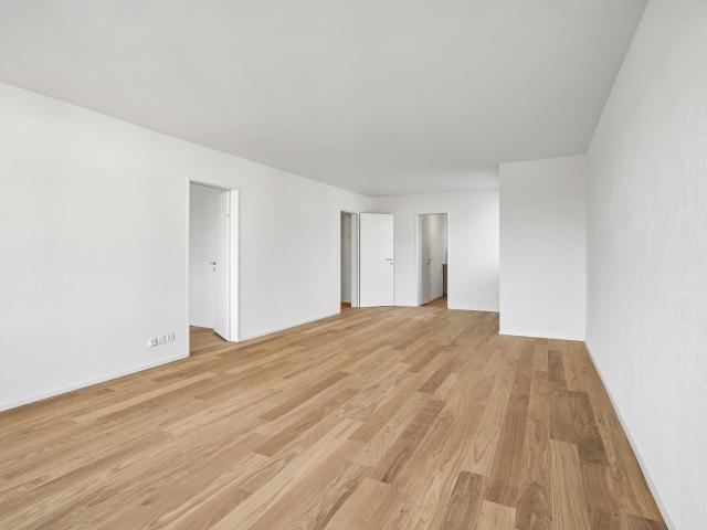 Rent a 4 ½ rooms apartment in Adliswil Flatfox