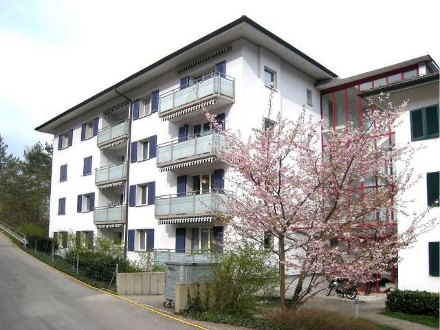 Rent a 4 ½ rooms apartment in Adliswil Flatfox