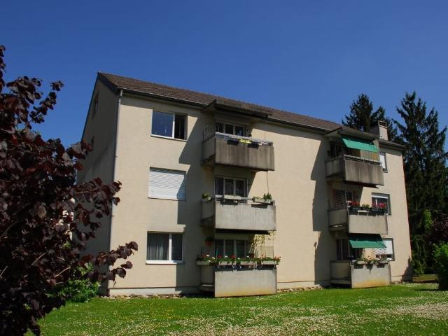 Rent a 4 rooms apartment in Aesch BL Flatfox