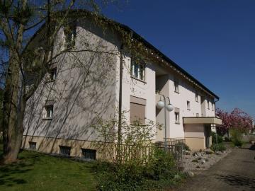 Rent a 4 rooms apartment in Aesch Flatfox