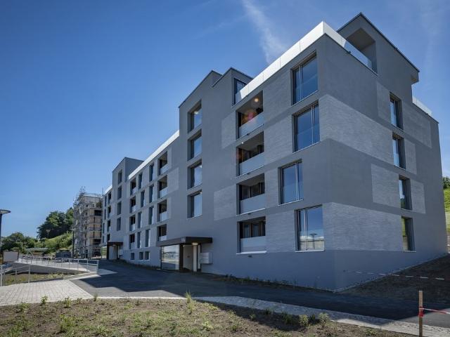 Rent a 4 ½ rooms apartment in Altendorf Flatfox