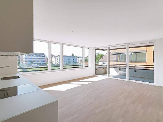 Rent a 4 ½ rooms apartment in Allschwil Flatfox