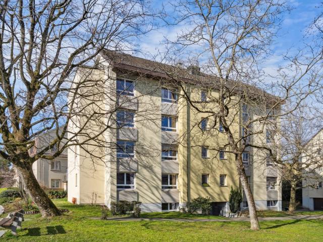 Rent a 4 ½ rooms apartment in Allschwil Flatfox