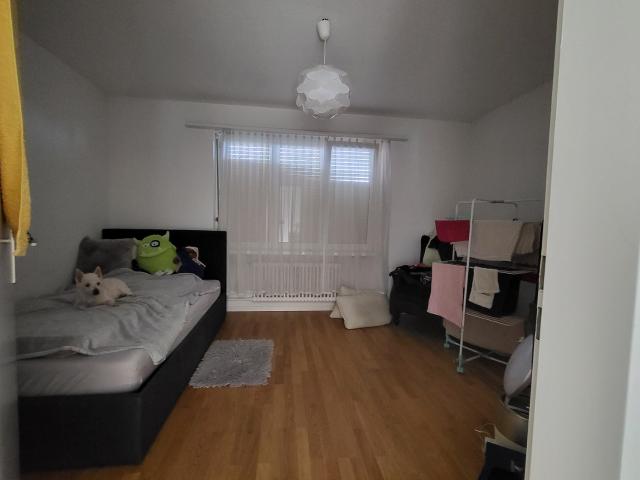 Rent a 4 rooms apartment in Arbon Flatfox