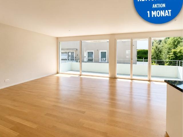 Rent a 4 ½ rooms apartment in Balsthal Flatfox