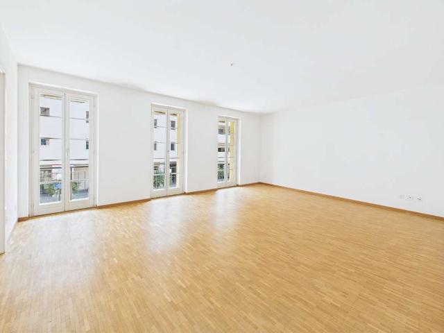 Rent a 4 ½ rooms apartment in Bellinzona Flatfox