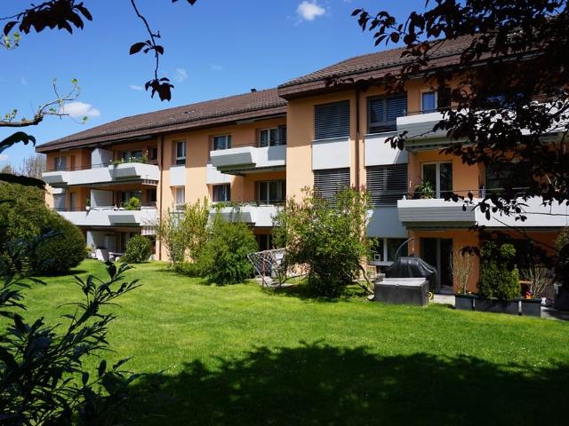 Rent a 4 ½ rooms apartment in Belp Flatfox