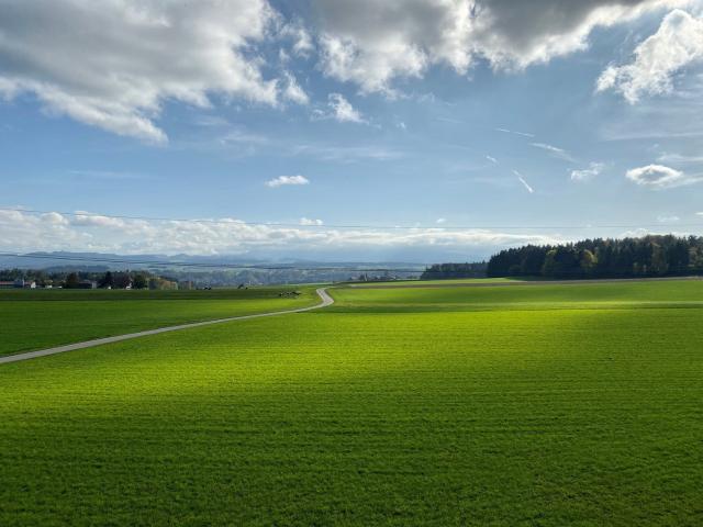 Rent a 4 ½ rooms apartment in Bern Flatfox