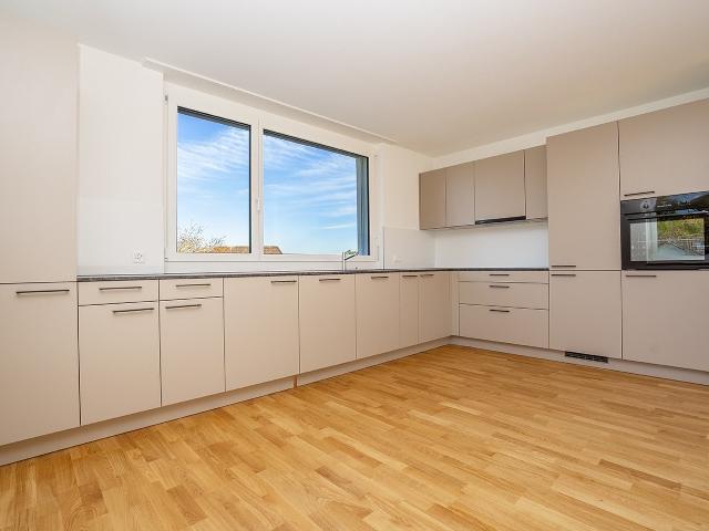 Rent a 4 ½ rooms apartment in Biberist Flatfox