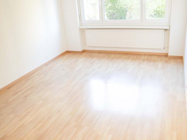 Rent a 4 ½ rooms apartment in Birmensdorf Flatfox