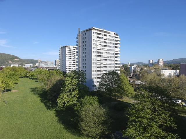 Rent a 4 rooms apartment in Birsfelden Flatfox