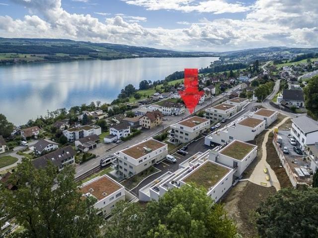 Rent a 4 ½ rooms apartment in Birrwil Flatfox