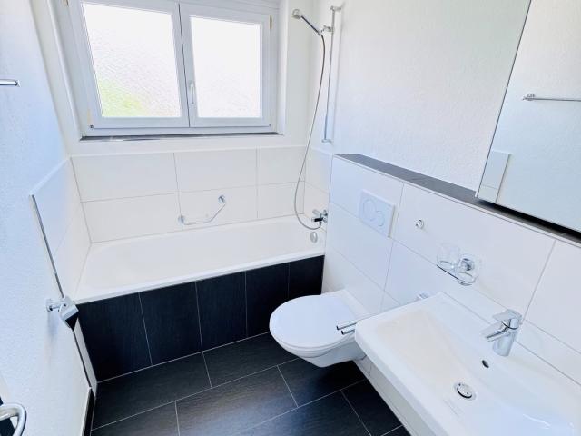 Rent a 4 ½ rooms apartment in Buchs Flatfox