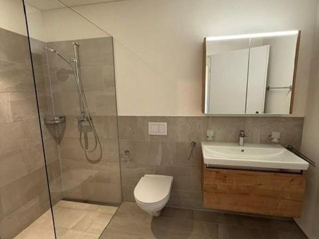 Rent a 4 ½ rooms apartment in Burgdorf Flatfox