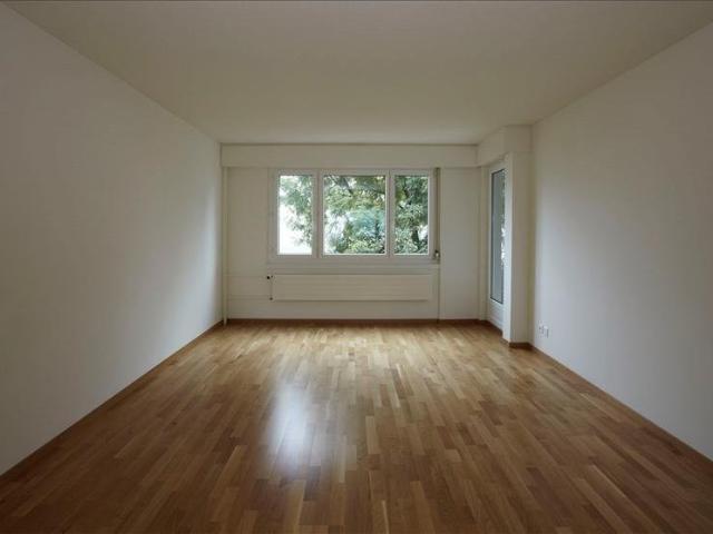 Rent a 4 rooms apartment in Greifensee Flatfox