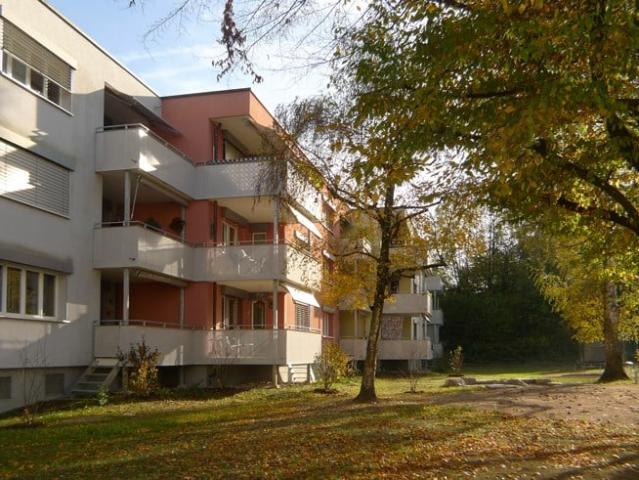Rent a 4 rooms apartment in Dornach Flatfox