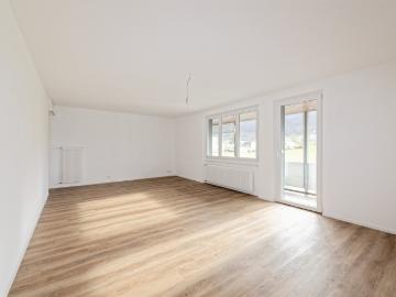 Rent a 4 ½ rooms apartment in Dulliken Flatfox