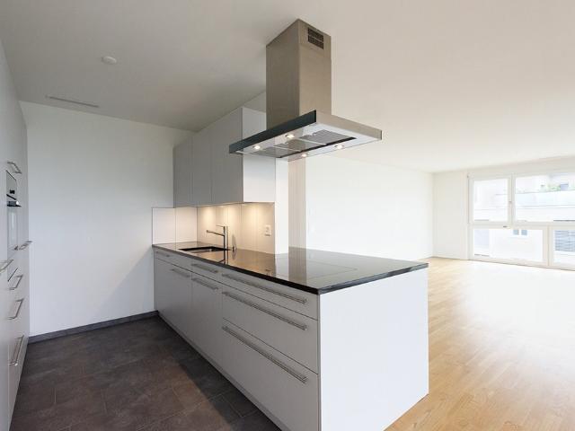 Rent a 4 ½ rooms apartment in Erlinsbach Flatfox