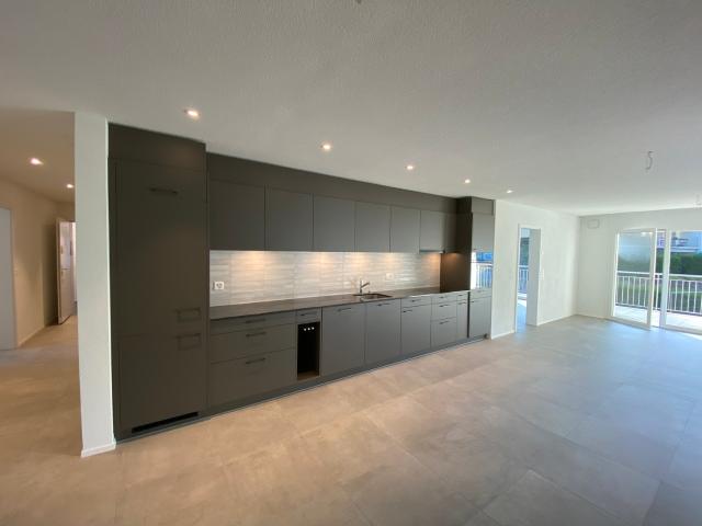 Rent a 4 ½ rooms apartment in Flüh Flatfox
