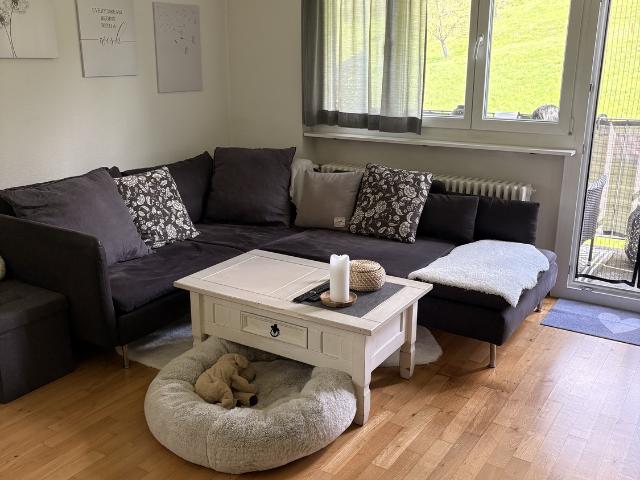 Rent a 4 ½ rooms apartment in Frauenfeld Flatfox