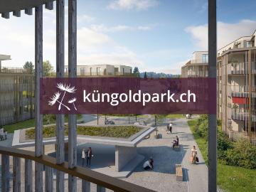 Rent a 4 ½ rooms apartment in Küngoldingen Flatfox